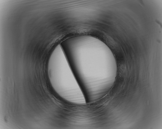 X0000097870644200803140919