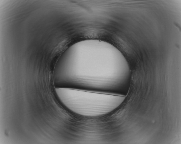 X0000097870645200803140919