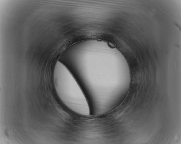 X0000097870646200803140919