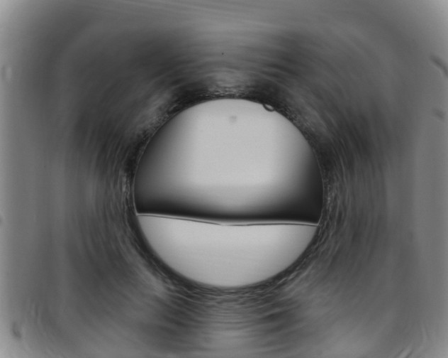X0000097870647200803140919