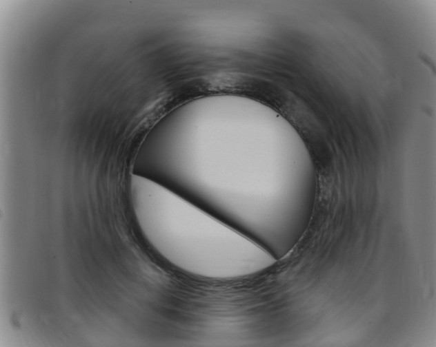 X0000097870648200803140919