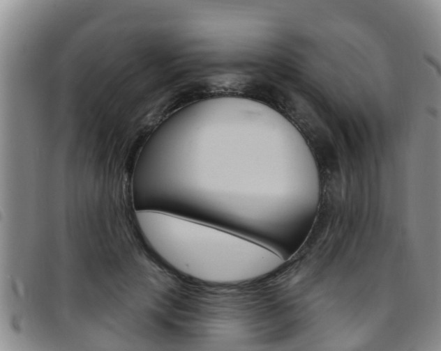 X0000097870649200803140919