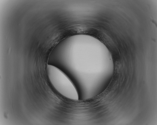 X0000097870650200803140919