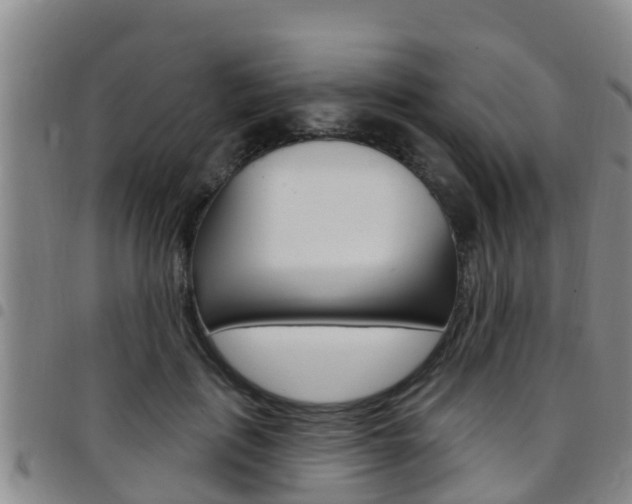 X0000097870651200803140919