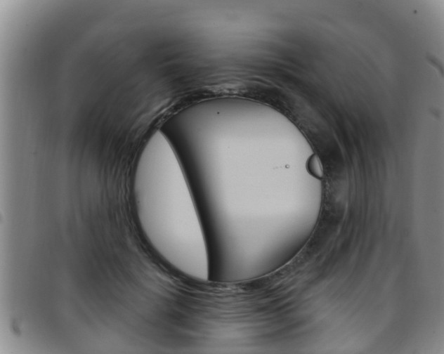 X0000097870652200803140919