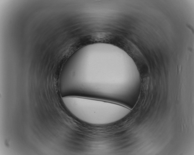 X0000097870653200803140919