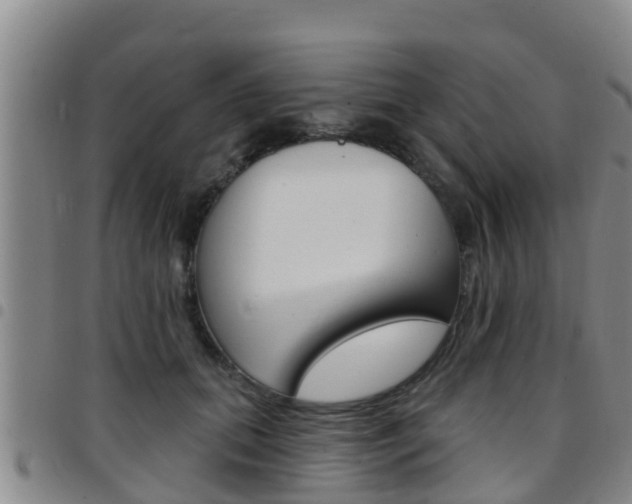 X0000097870655200803140919