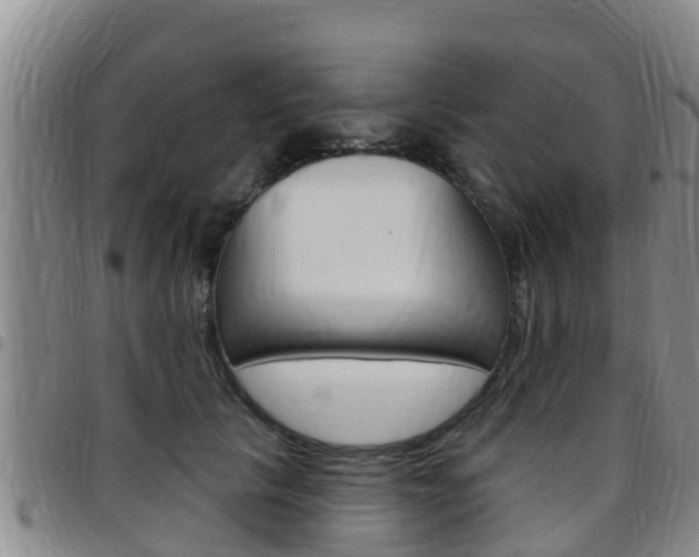 X0000097870657200803140919