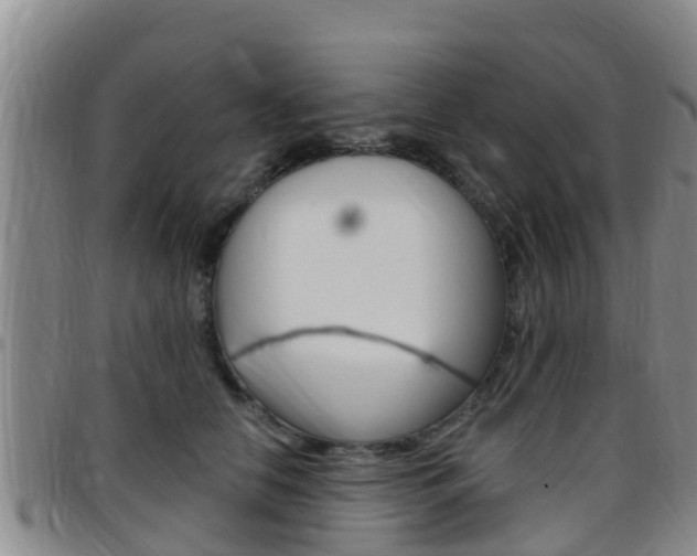 X0000097870658200803140919