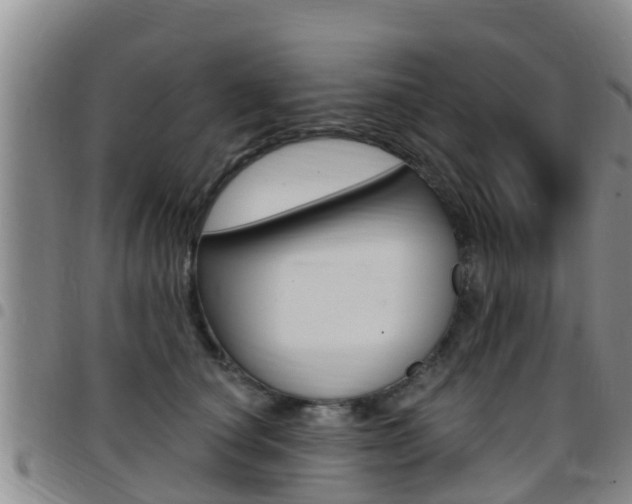 X0000097870660200803140919