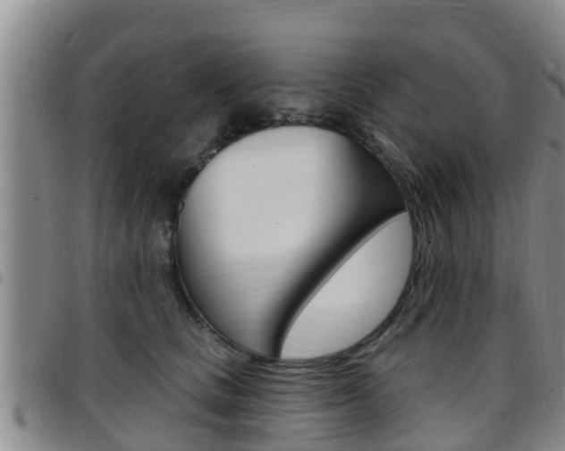 X0000097870661200803140919