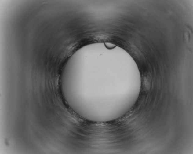 X0000097870668200803140919