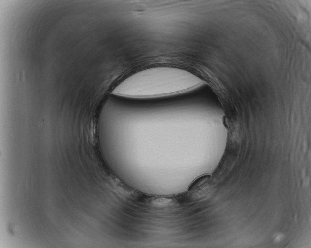 X0000097870669200803140919