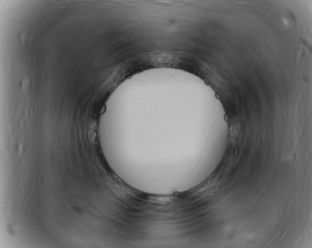 X0000097870671200803140919