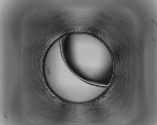 X0000097870673200803140918