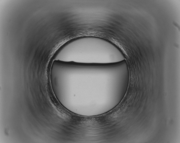 X0000097870674200803140918