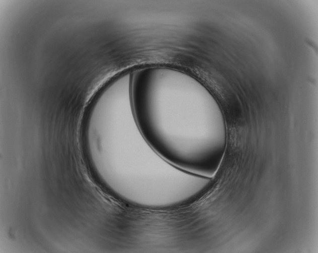 X0000097870676200803140918
