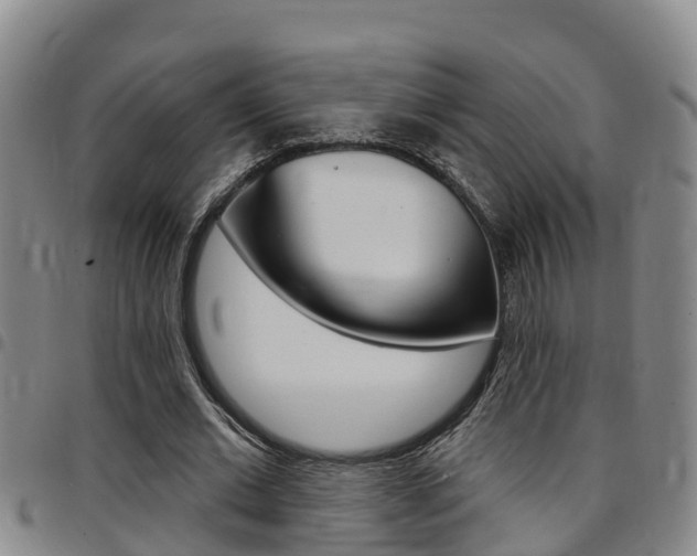 X0000097870677200803140918