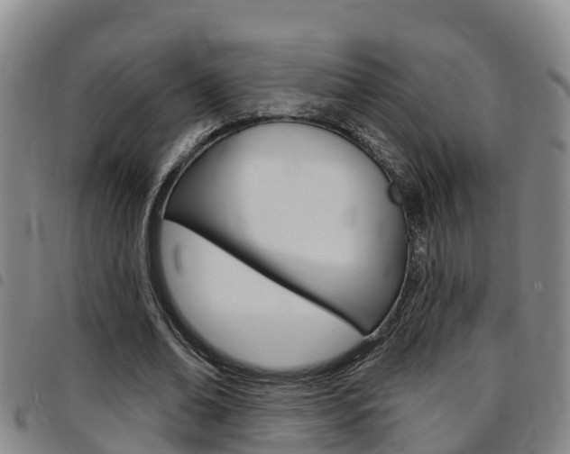 X0000097870678200803140918