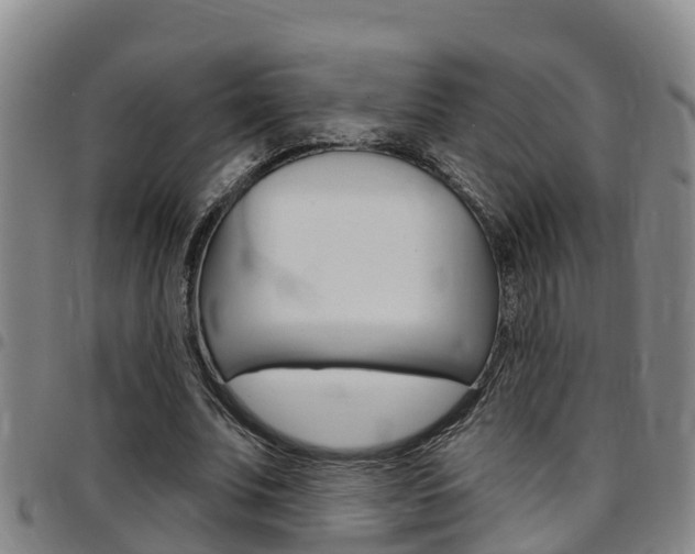 X0000097870679200803140918