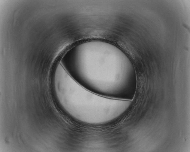 X0000097870680200803140918