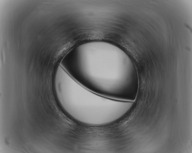 X0000097870681200803140918