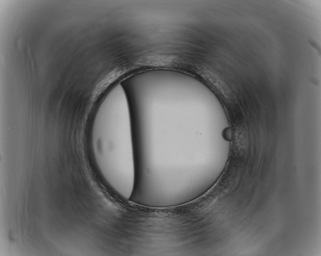 X0000097870682200803140918