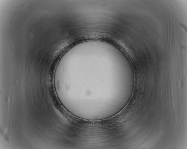 X0000097870683200803140918