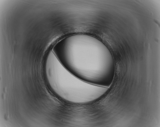 X0000097870684200803140918