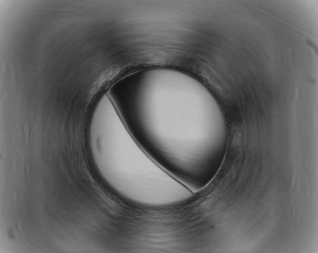 X0000097870685200803140918