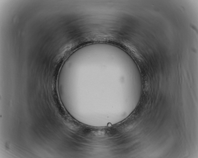 X0000097870687200803140918