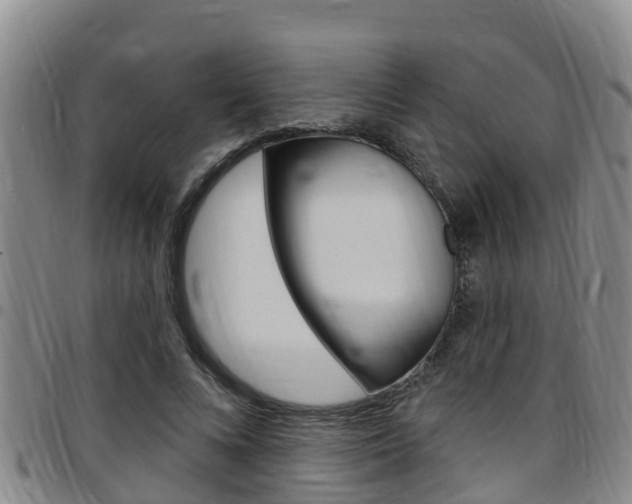 X0000097870688200803140918