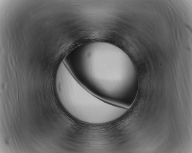 X0000097870689200803140918