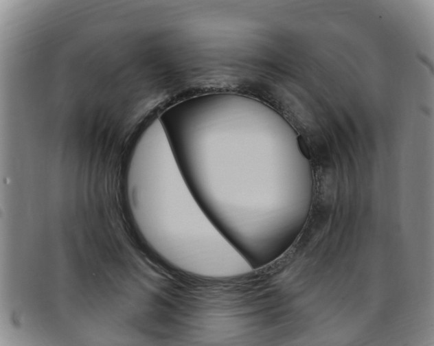 X0000097870692200803140918
