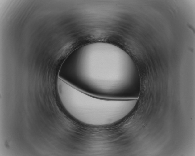 X0000097870693200803140918