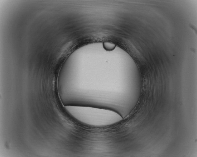 X0000097870694200803140918