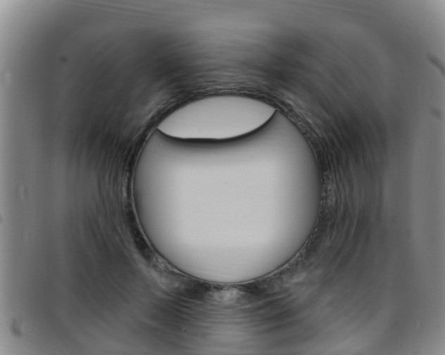 X0000097870695200803140918