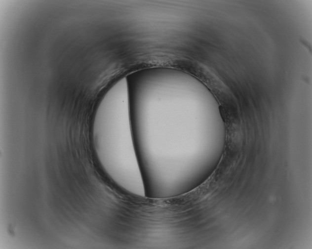 X0000097870696200803140918