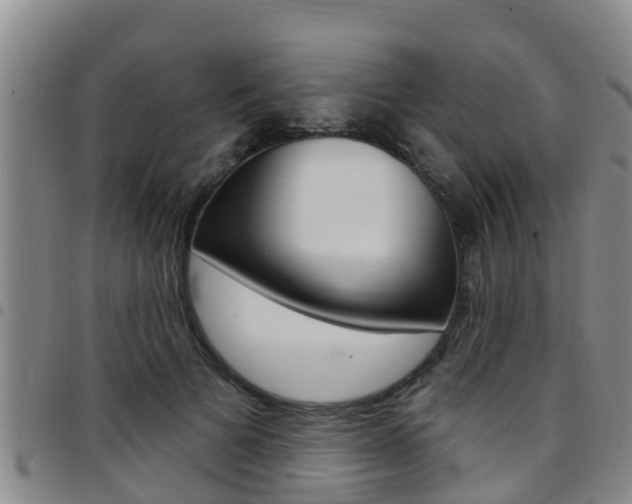 X0000097870697200803140918