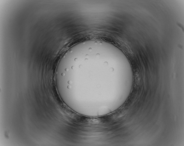 X0000097870698200803140918