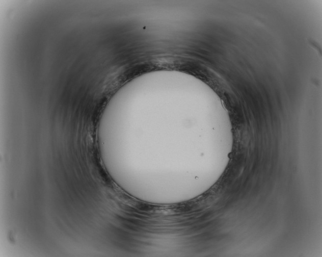 X0000097870702200803140918