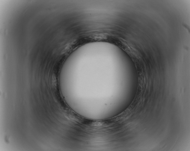 X0000097870704200803140918