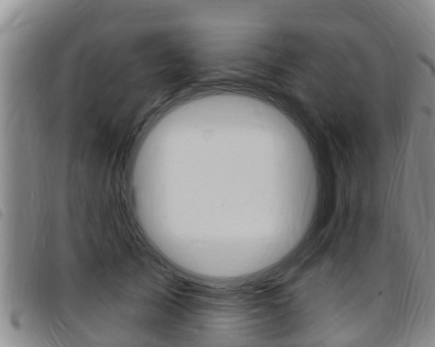 X0000097870705200803140918