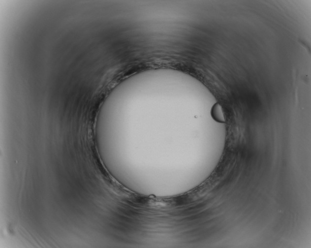 X0000097870706200803140918