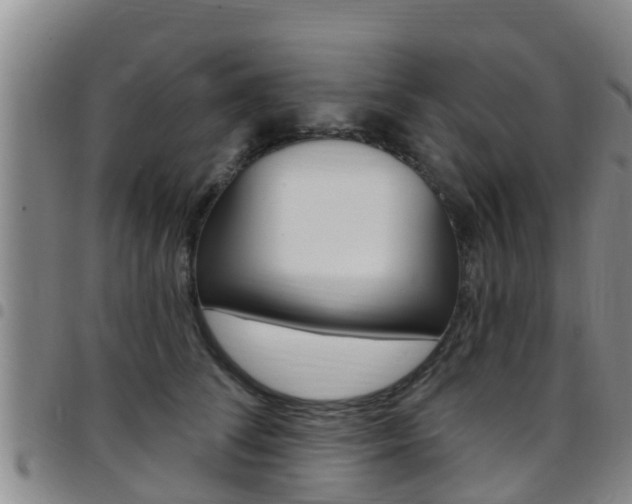 X0000097870708200803140918