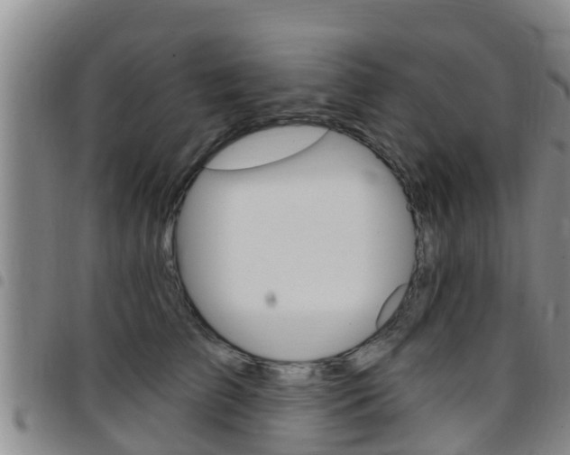 X0000097870709200803140918