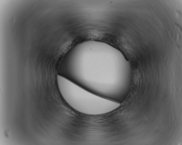 X0000097870716200803140918