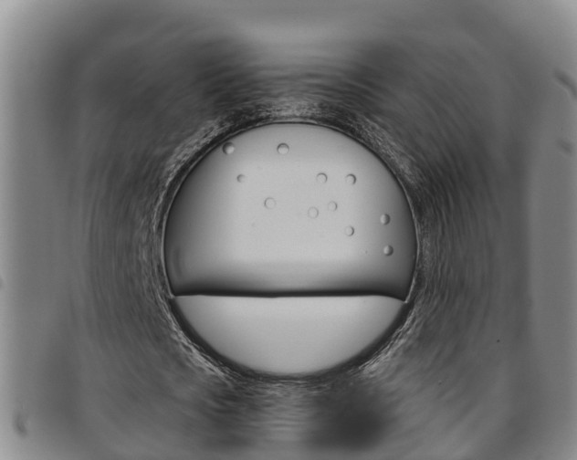 X0000097870721200803140917