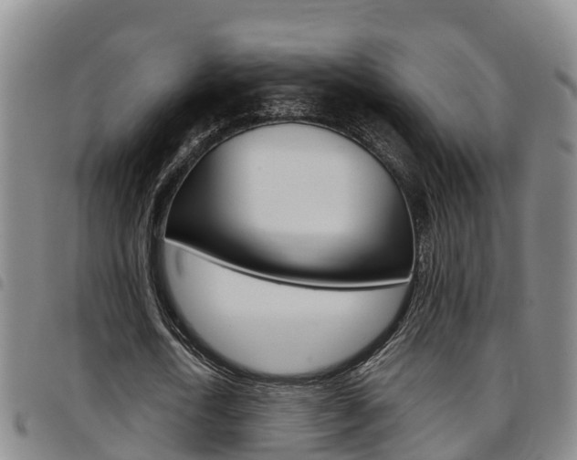 X0000097870722200803140917