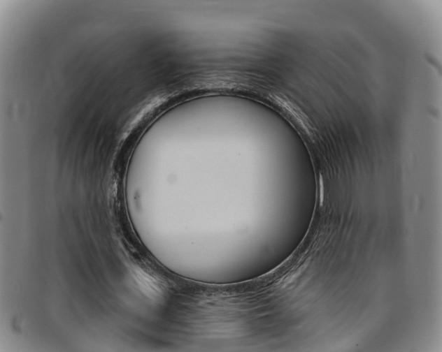 X0000097870723200803140917
